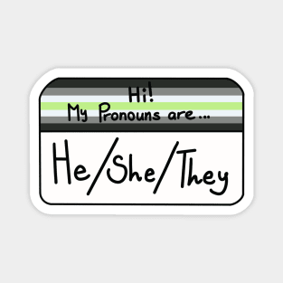Hi my pronouns are - he she they - agender pride Magnet