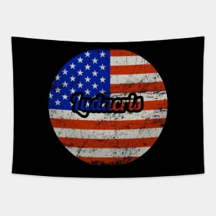 Ludacris / USA Flag Vintage Style Tapestry