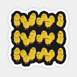 Cute Everybirdy Golder Birds Pattern Magnet