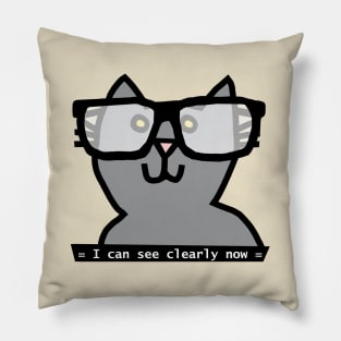 Funny Ultimate Gray Cat With Glasses Pillow