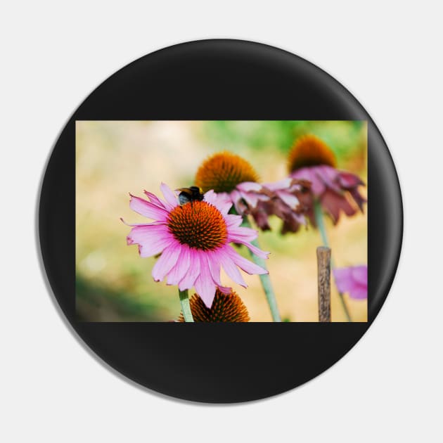 Echinacea Purpurea with Bee Pin by jojobob