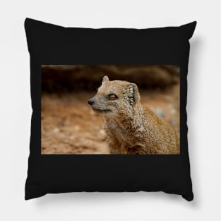 Yellow Mongoose Pillow