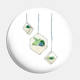 Hanging Succulents 3 Pin