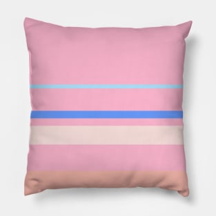 An unexampled arrangement of Powder Blue, Cornflower Blue, Little Girl Pink, Misty Rose and Melon stripes. Pillow