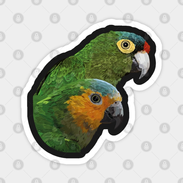 orange-fronted parakeet and dirty-breasted parakeet Magnet by obscurite