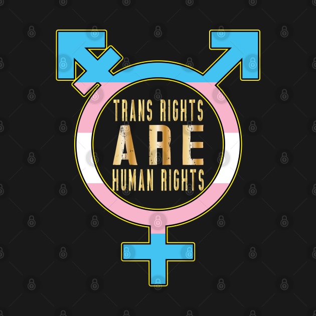 Trans Rights Are Human Rights by ArticArtac