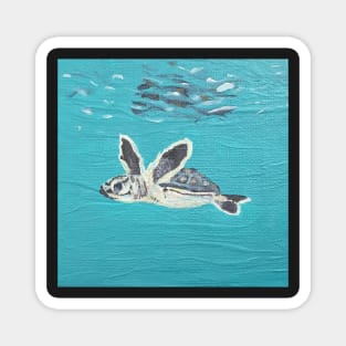 swim baby turtle Magnet