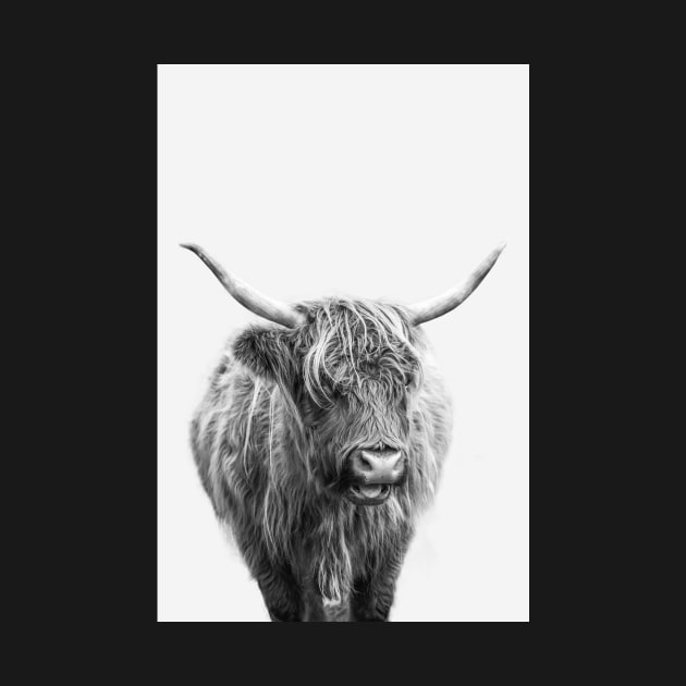 Highlander Cow In Black And White by dalekincaid