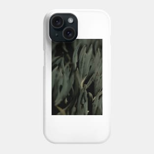 Sukkulente 01 Phone Case