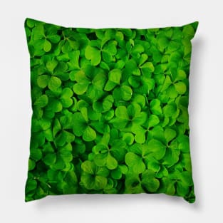 green Clover photo Pillow