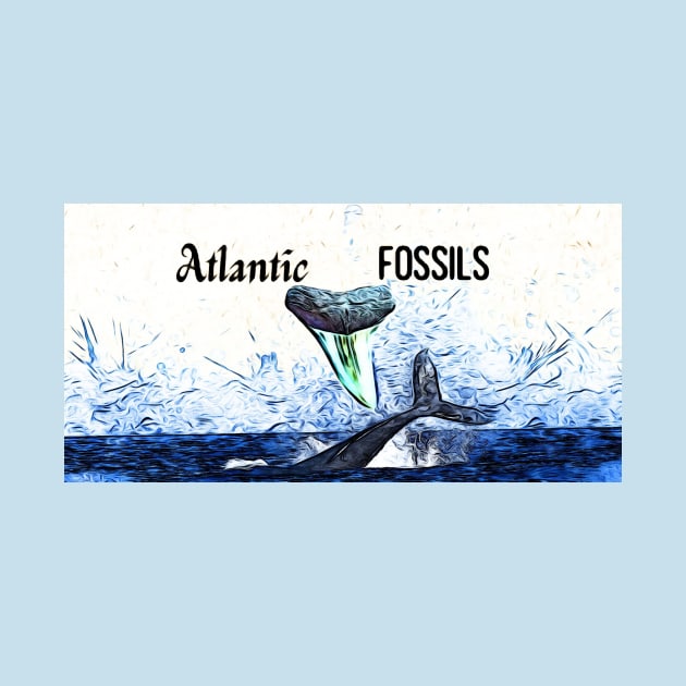 Whale and Atlantic Fossils Shark Tooth by AtlanticFossils