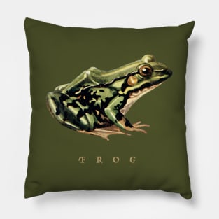 Cottagecore Frog: Celebrating the Charm of Nature and Goblincore Aesthetics Pillow