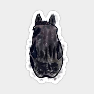 Funny horse head Magnet