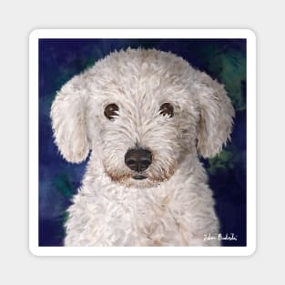 Painting of a Cute Fluffy White Maltipoo Looking at You Magnet