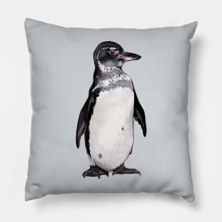 Galapagos Penguin Pillow