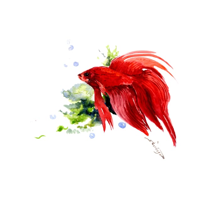 Siamese fighting fish by surenart