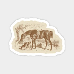 Horse & Hounds Hunting Scene Vintage Illustration Magnet