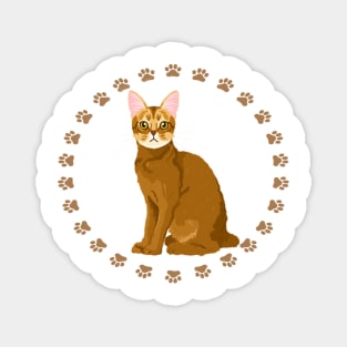 Abyssinian Cat T Shirt Magnet