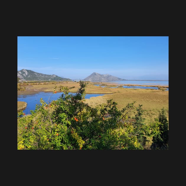 View of the Skadar Lake National Park by Zamart20