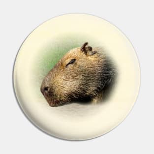 Capybara Pin