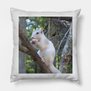 White Squirrel Pillow