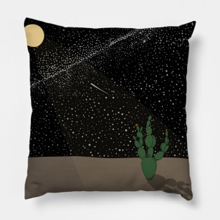 Cold desert Pillow
