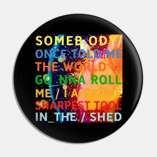 Smash Mouth / In Rainbows Mashup Design Pin