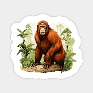 Orangutans Magnet