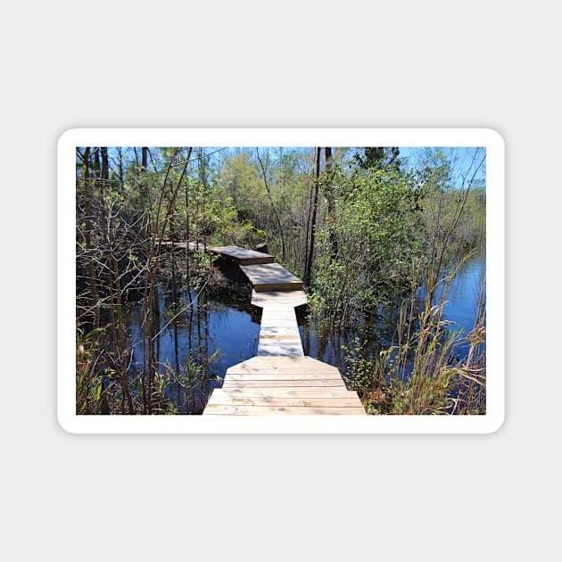 Crossing The Swamp Magnet by Cynthia48