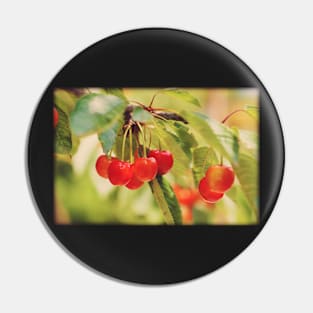 Cherry Branch Pin