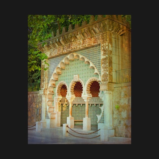 Sintra mourisca. moorish sintra fountain. by terezadelpilar