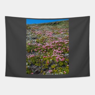 Nome Flowers of the Tundra Tapestry