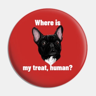 Where is my treat human? Pin