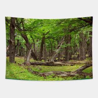 Silence in a timeless forrest Tapestry