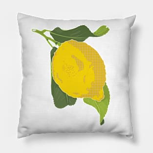 Food Vignette: Yellow Lemon Pillow