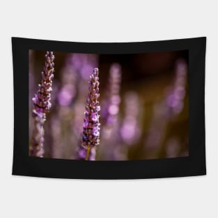 Lavender and bokeh Tapestry