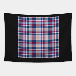 Plaid Blue-Pink Tapestry