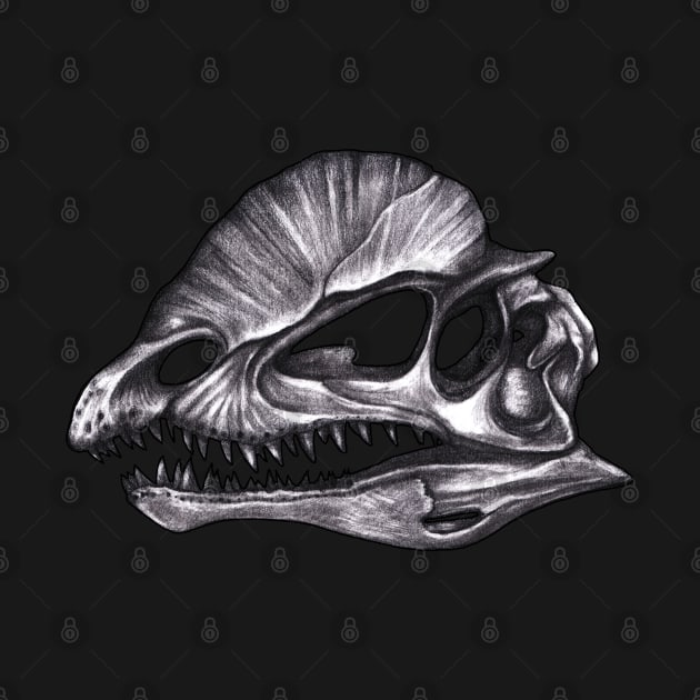 Diplophosaurus Skull by MonoMano