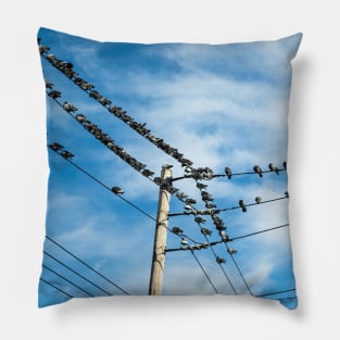 Pigeons on a wire Pillow