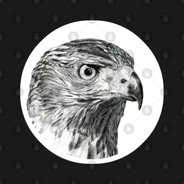 Hawk portrait drawing by SakalDesign