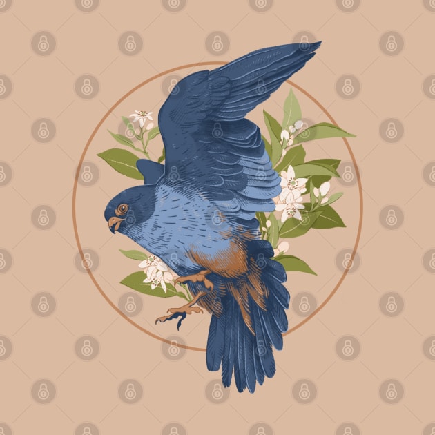 Red Footed Falcon by Drawing Alba