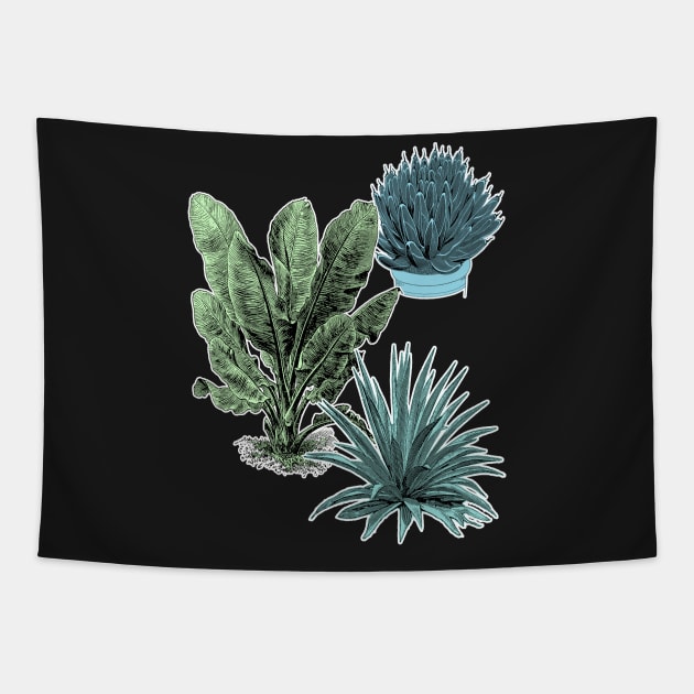 Tropical Plants | Succulent Banana Leaves Tapestry by encycloart