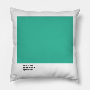 pantone 15-5819 TCX Spearmint Pillow