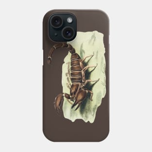 The African Scorpion Phone Case