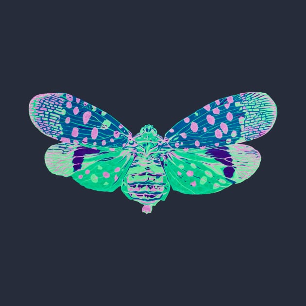 Spotted Lantern Fly by RaLiz