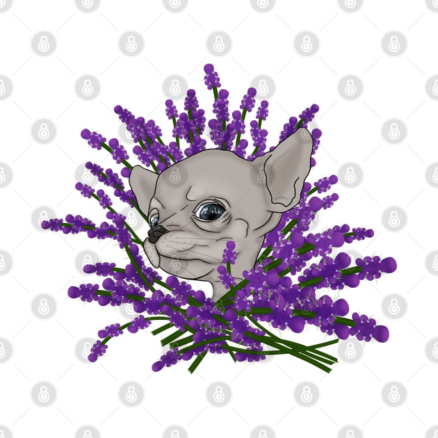 Chihuahua with lavender by KateQR