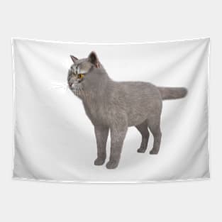 Adorable Siberian Fluffy Gray Tapestry
