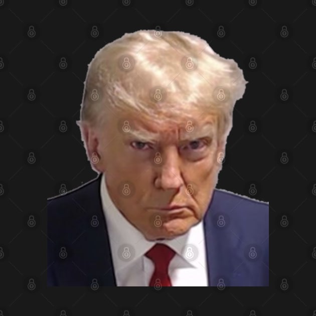 DONALD TRUMP'S MUGSHOT AUGUST 2023 ARREST by colormecolorado