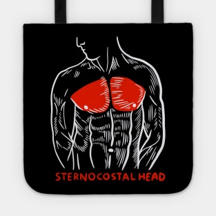 Weightlifting Gym Trainer Muscles Anatomy Sternocostal Head Tote