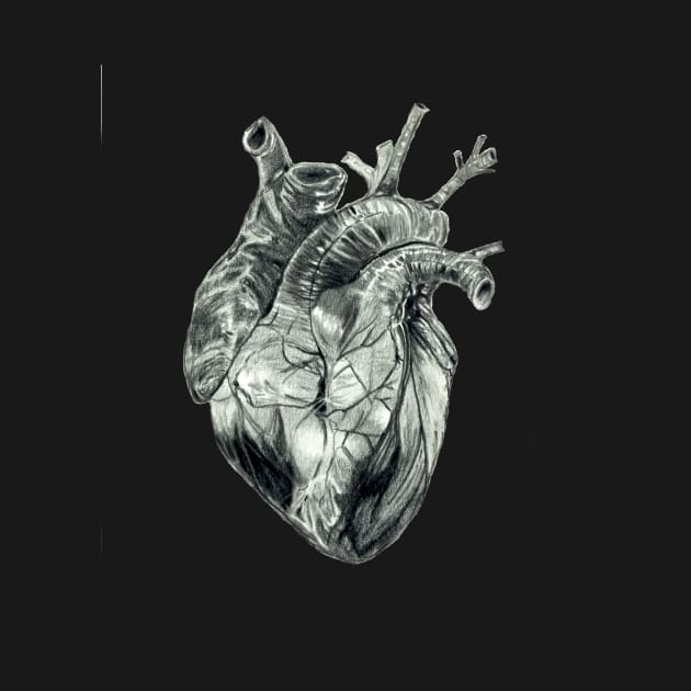 Anatomical Drawing of a Human Heart by WaterGardens